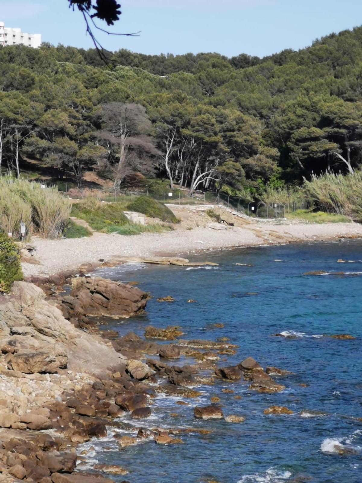 Petit Paradis - St Mandrier Village Saint-Mandrier-sur-Mer Esterno foto