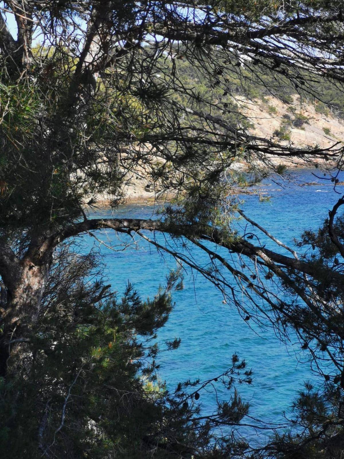 Petit Paradis - St Mandrier Village Saint-Mandrier-sur-Mer Esterno foto