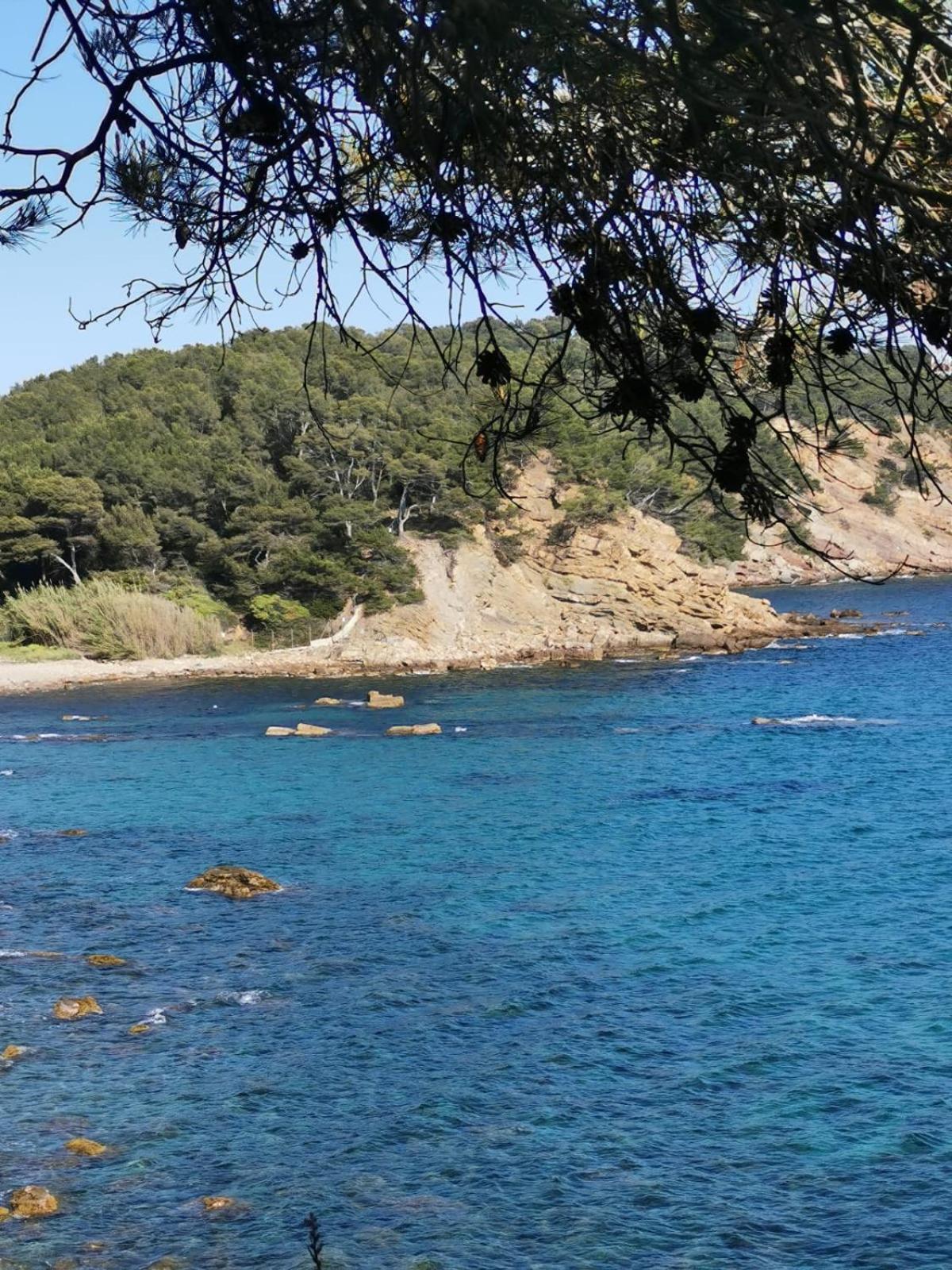 Petit Paradis - St Mandrier Village Saint-Mandrier-sur-Mer Esterno foto