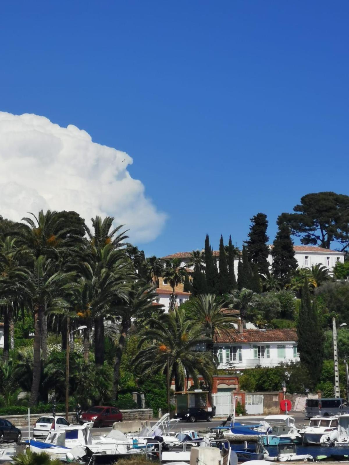 Petit Paradis - St Mandrier Village Saint-Mandrier-sur-Mer Esterno foto