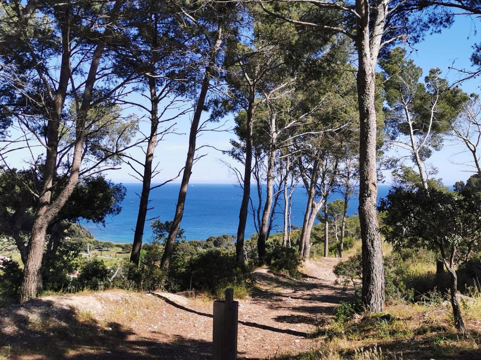 Petit Paradis - St Mandrier Village Saint-Mandrier-sur-Mer Esterno foto